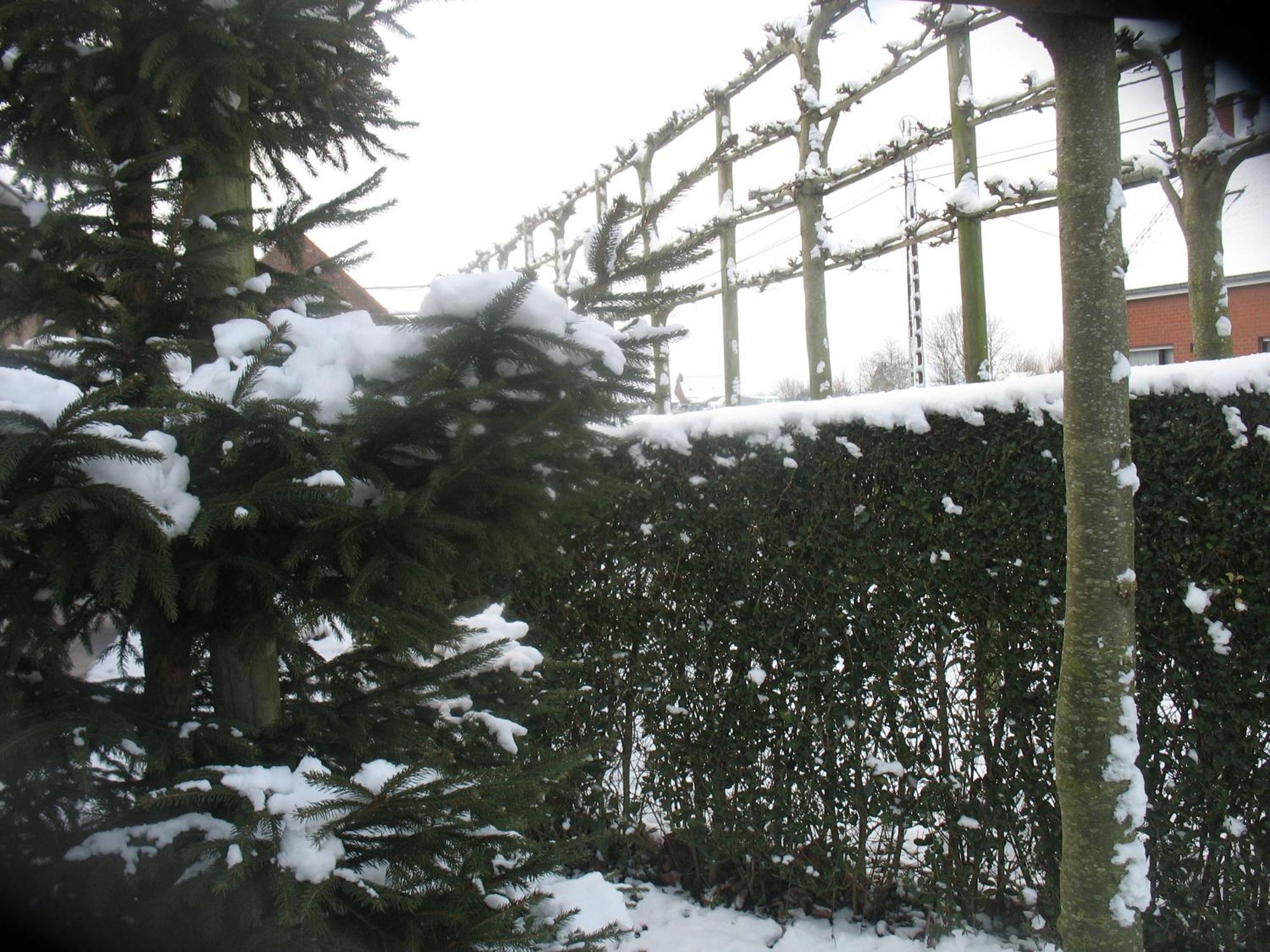 B&B Greenhouse 37 Langemark Exterior foto
